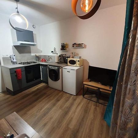Charmant Petit F1 Apartment Tain-lʼHermitage Екстериор снимка